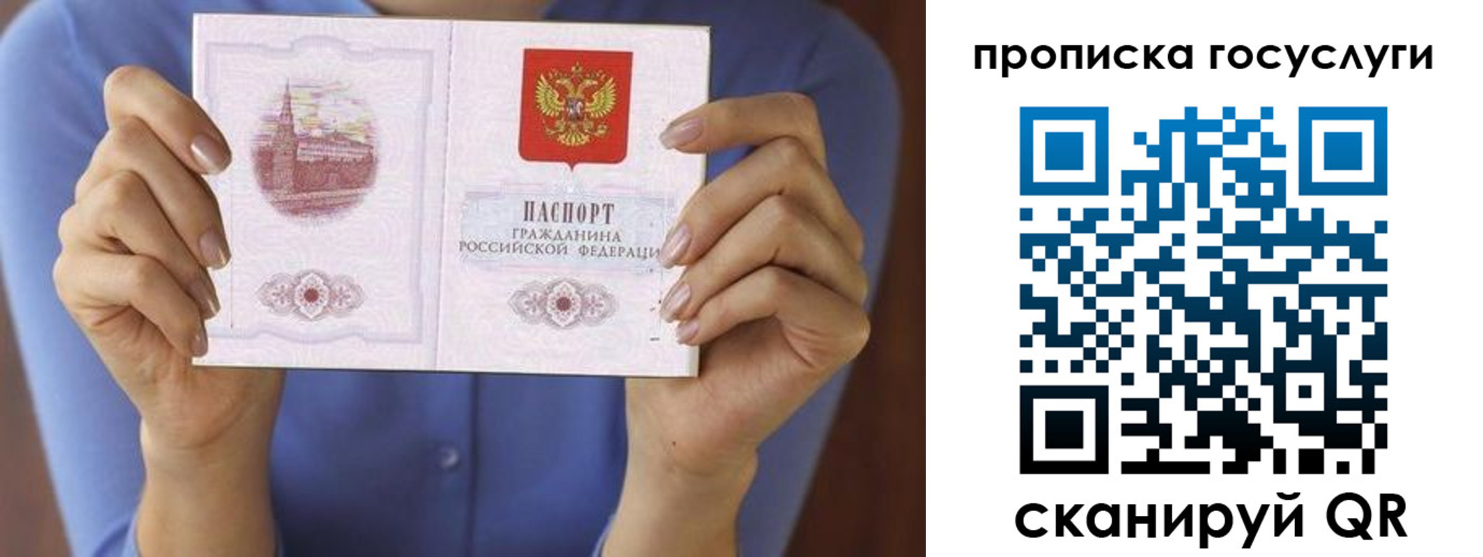 временная регистрация поиск в Барыше